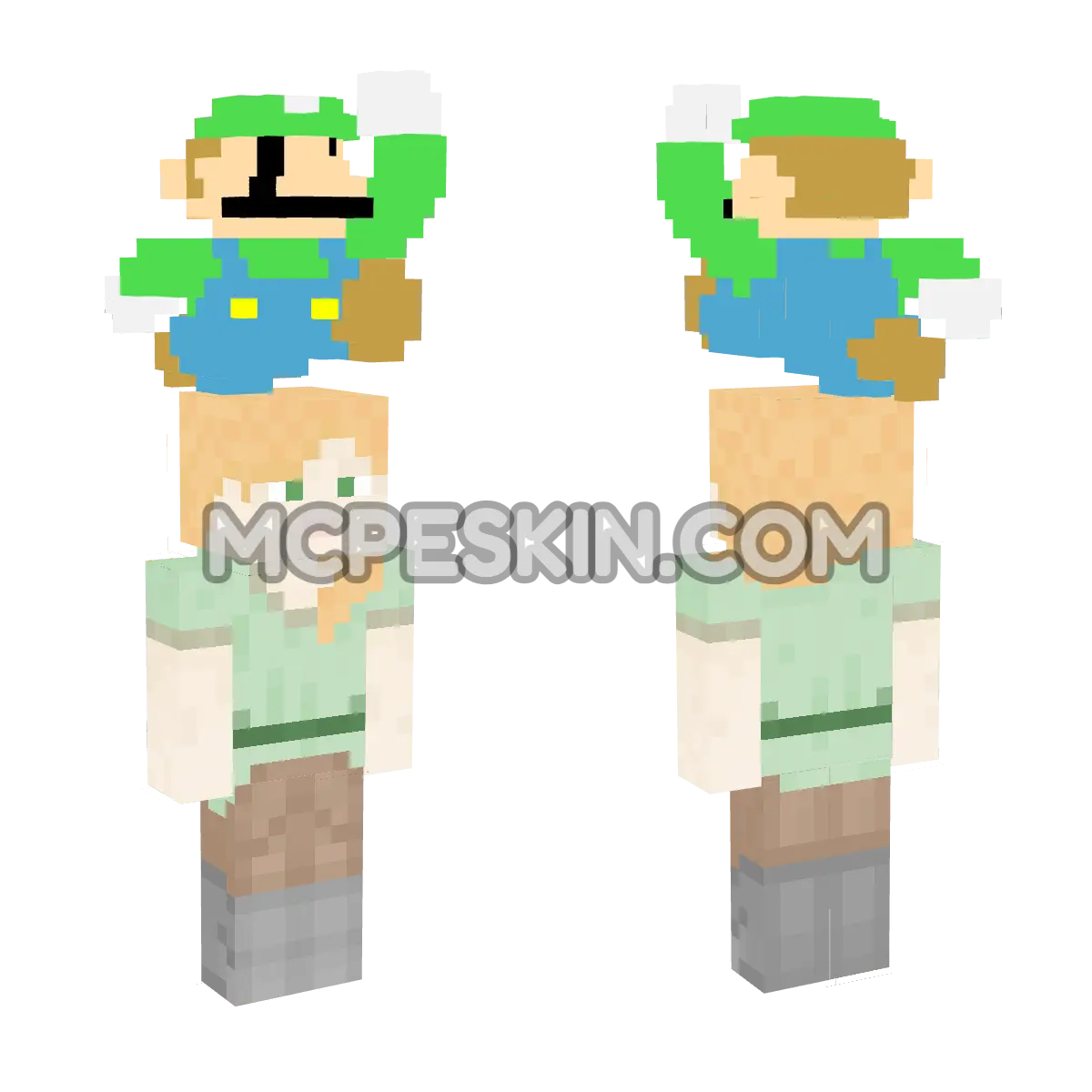8-bit Luigi 4D Minecraft Bedrock skin