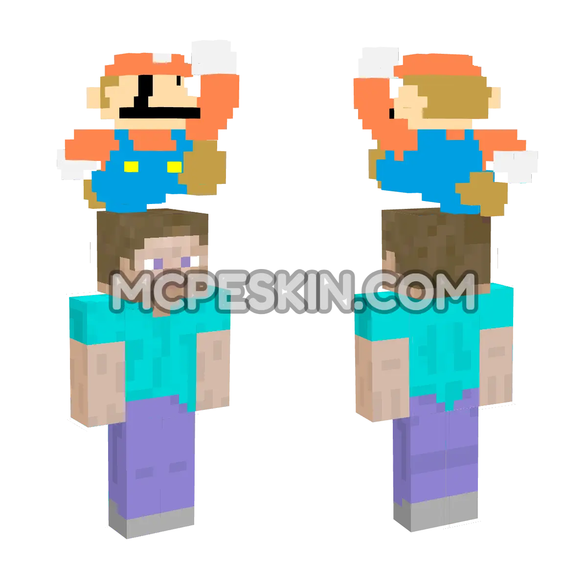 8-bit Mario 4D Minecraft Bedrock skin