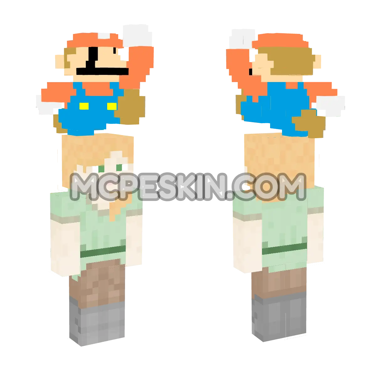 8-bit Mario 4D Minecraft Bedrock skin