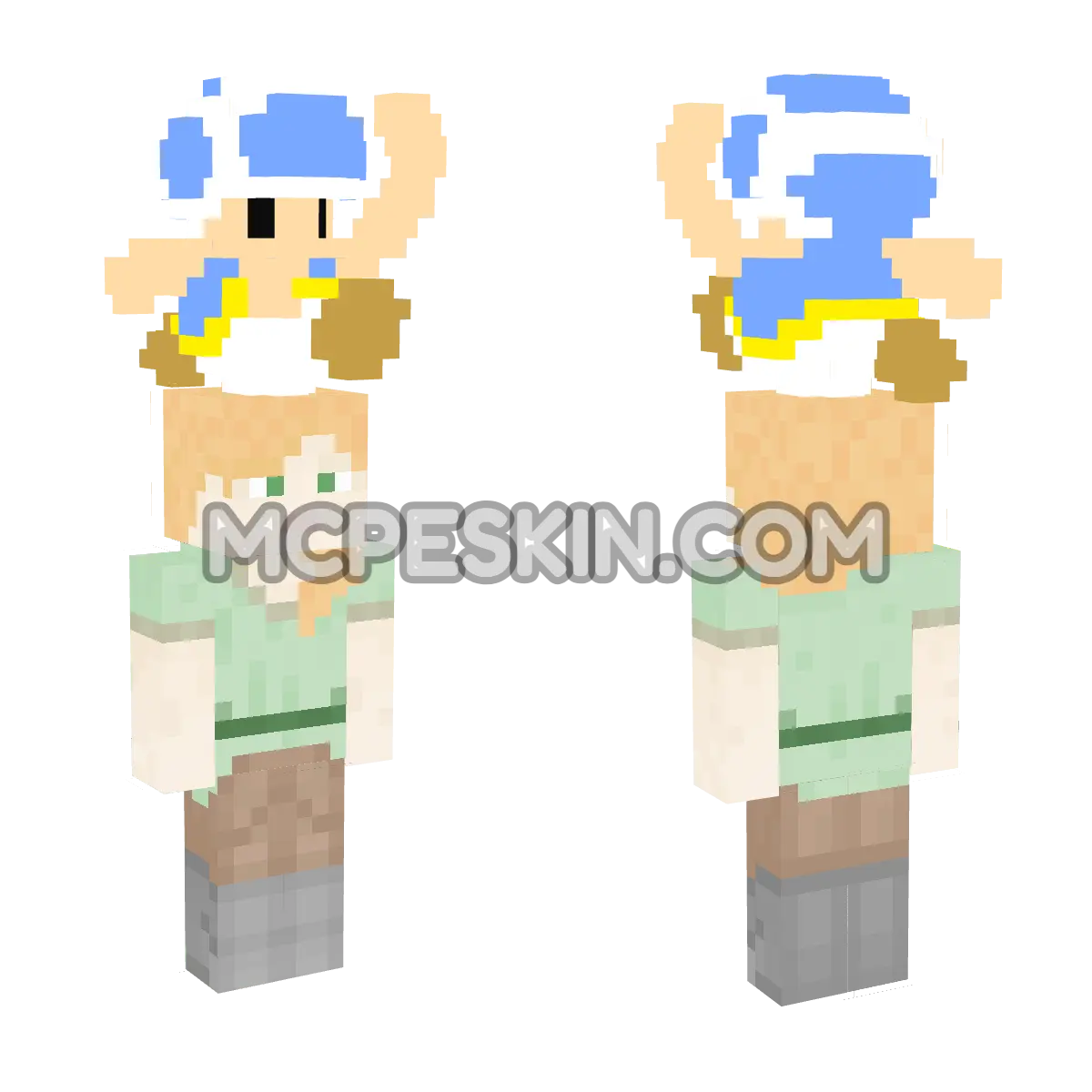 8-bit Toad 4D Minecraft Bedrock skin