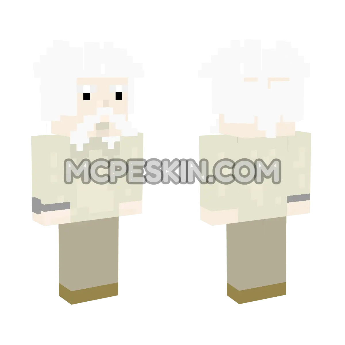 Albert Einstein 4D 4D Minecraft Bedrock skin