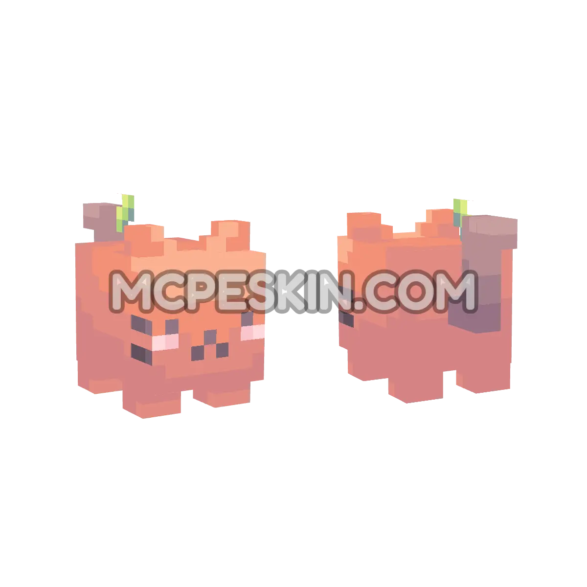 Apple Cat 4D Minecraft Bedrock skin