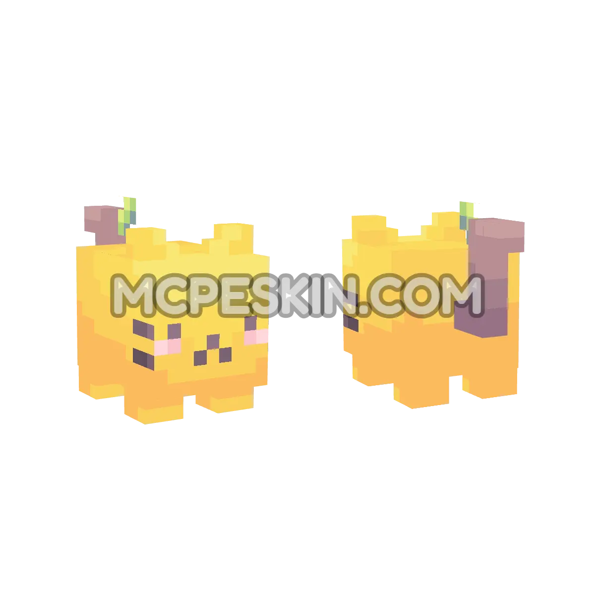 Apple Cat 4D Minecraft Bedrock skin