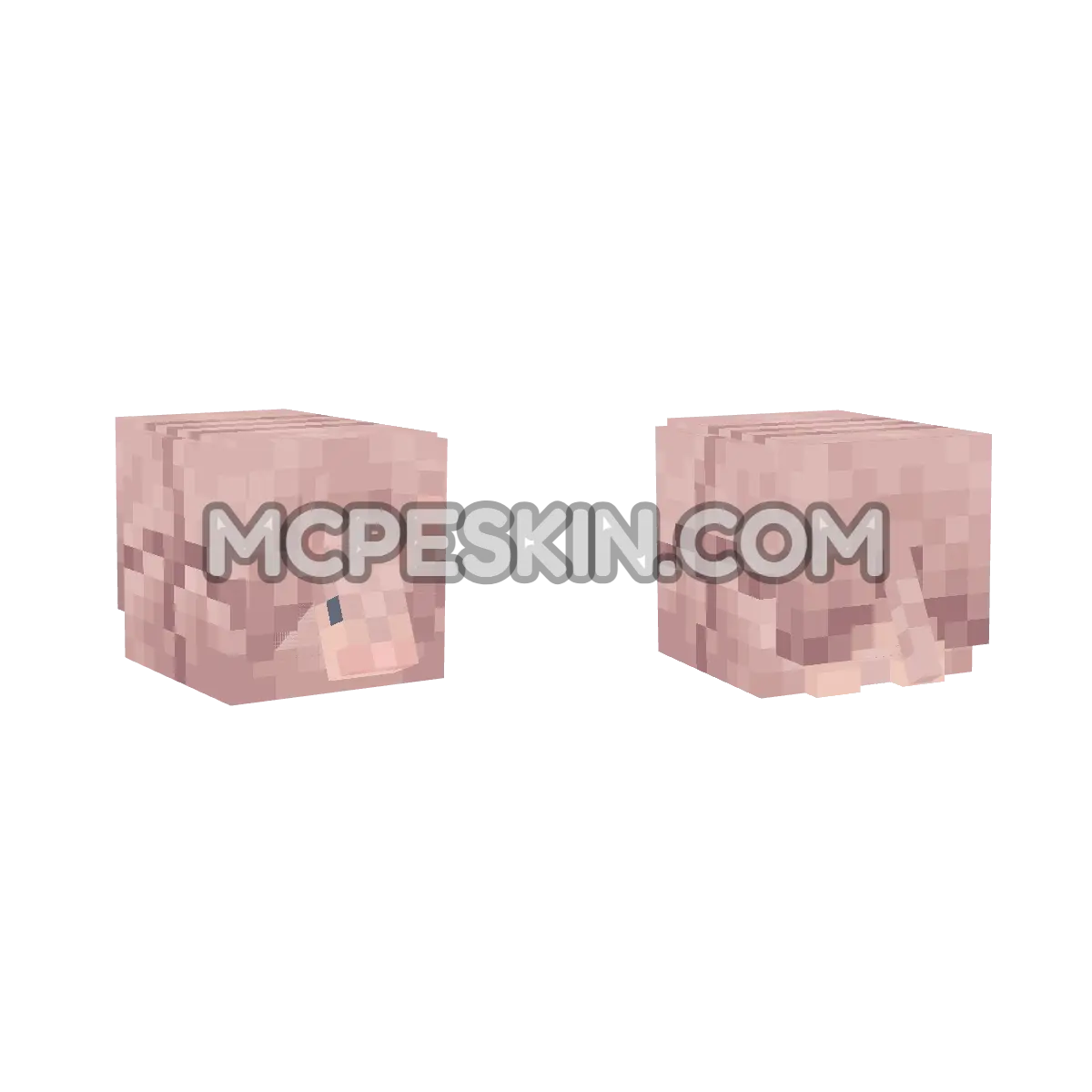 armadillo 4D Minecraft Bedrock skin
