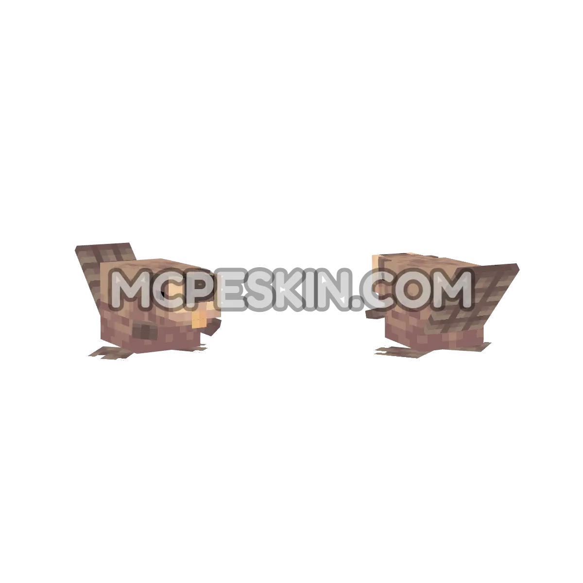 beaver1 4D Minecraft Bedrock skin
