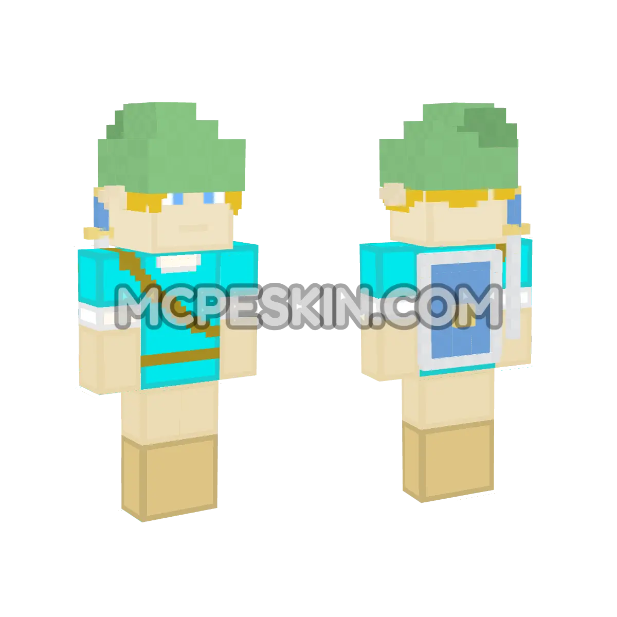 Breath Wild Link 4D Minecraft Bedrock skin