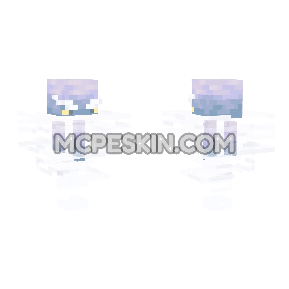 breeze 4D Minecraft Bedrock skin