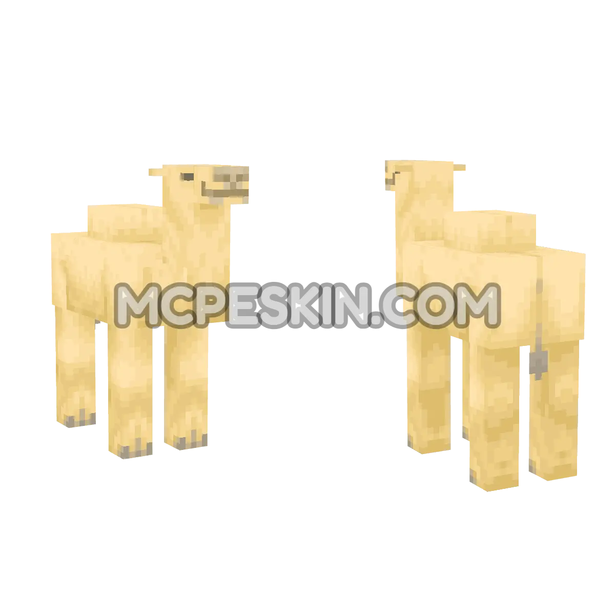 camel 4D Minecraft Bedrock skin