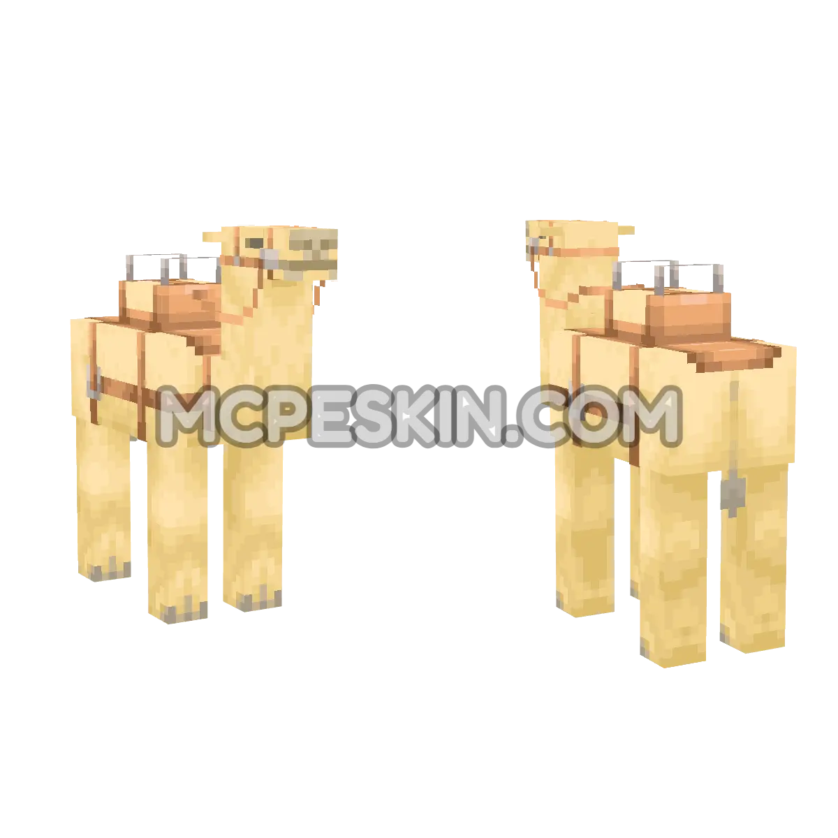 cameltamed 4D Minecraft Bedrock skin