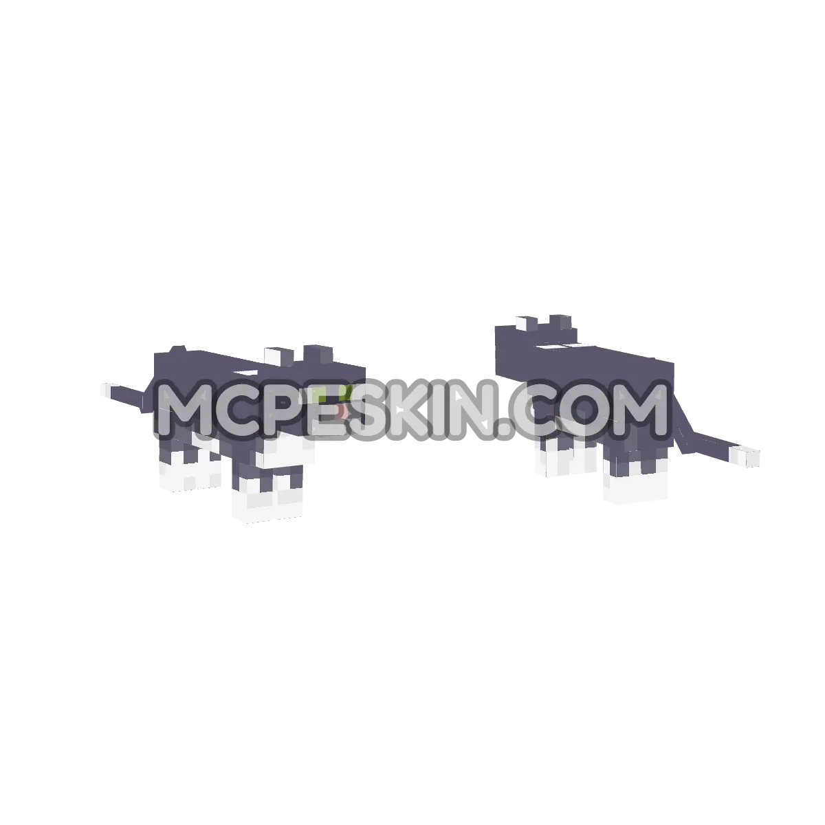 cat 4D Minecraft Bedrock skin