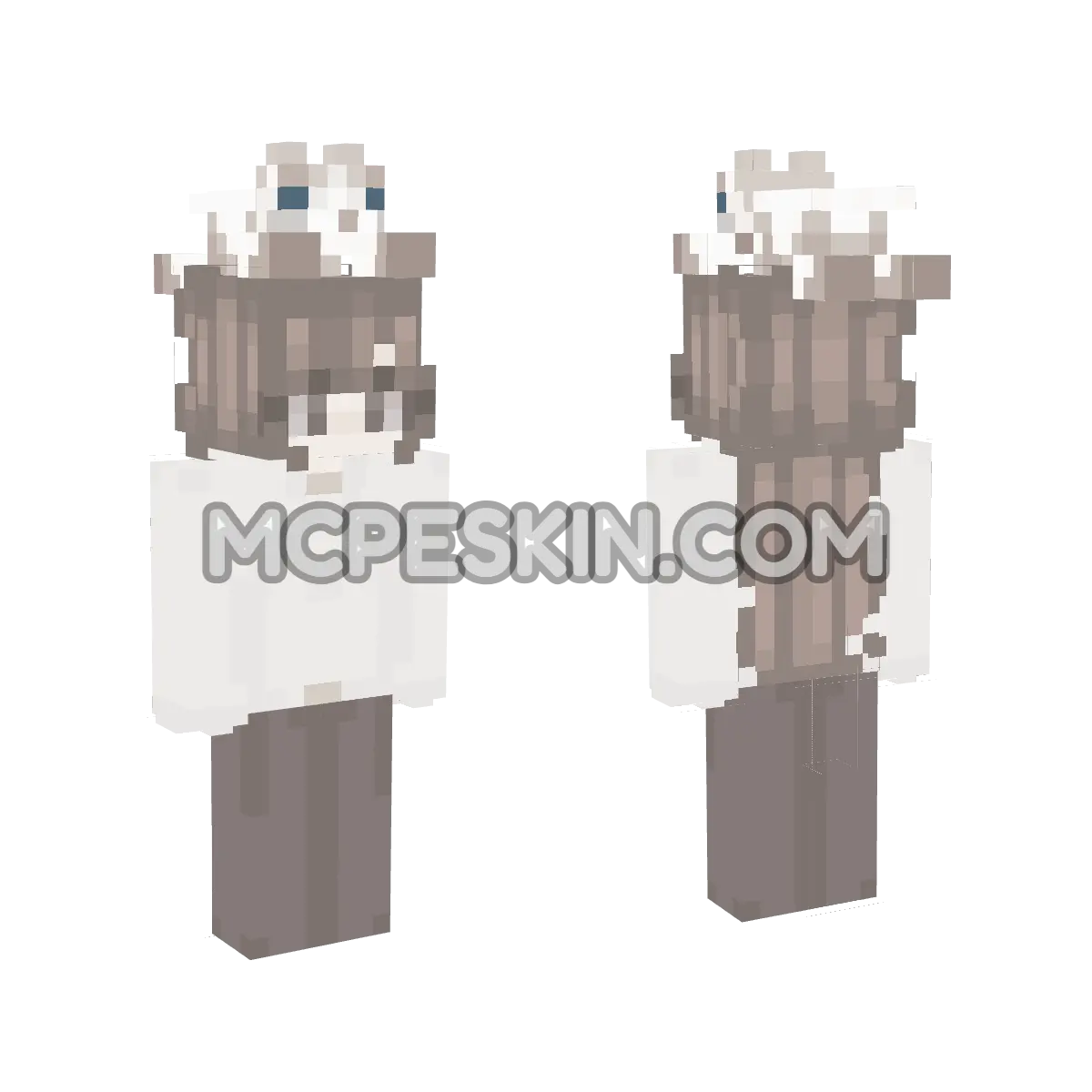 Cat 4D Minecraft Bedrock skin