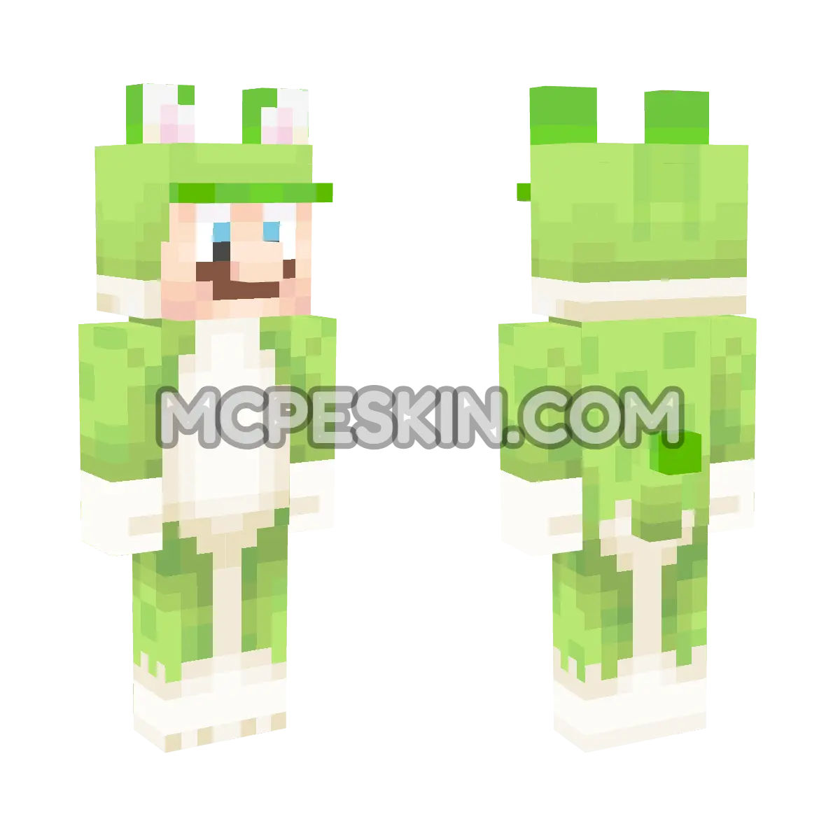 Cat Luigi 4D Minecraft Bedrock skin
