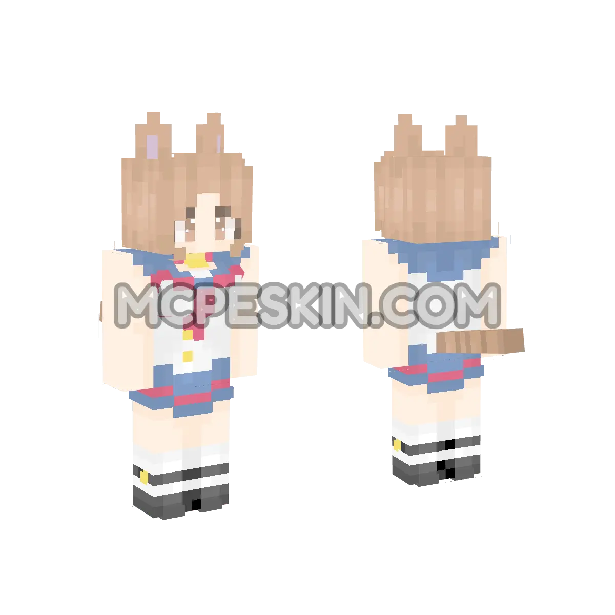 Cat M 17 4D Minecraft Bedrock skin