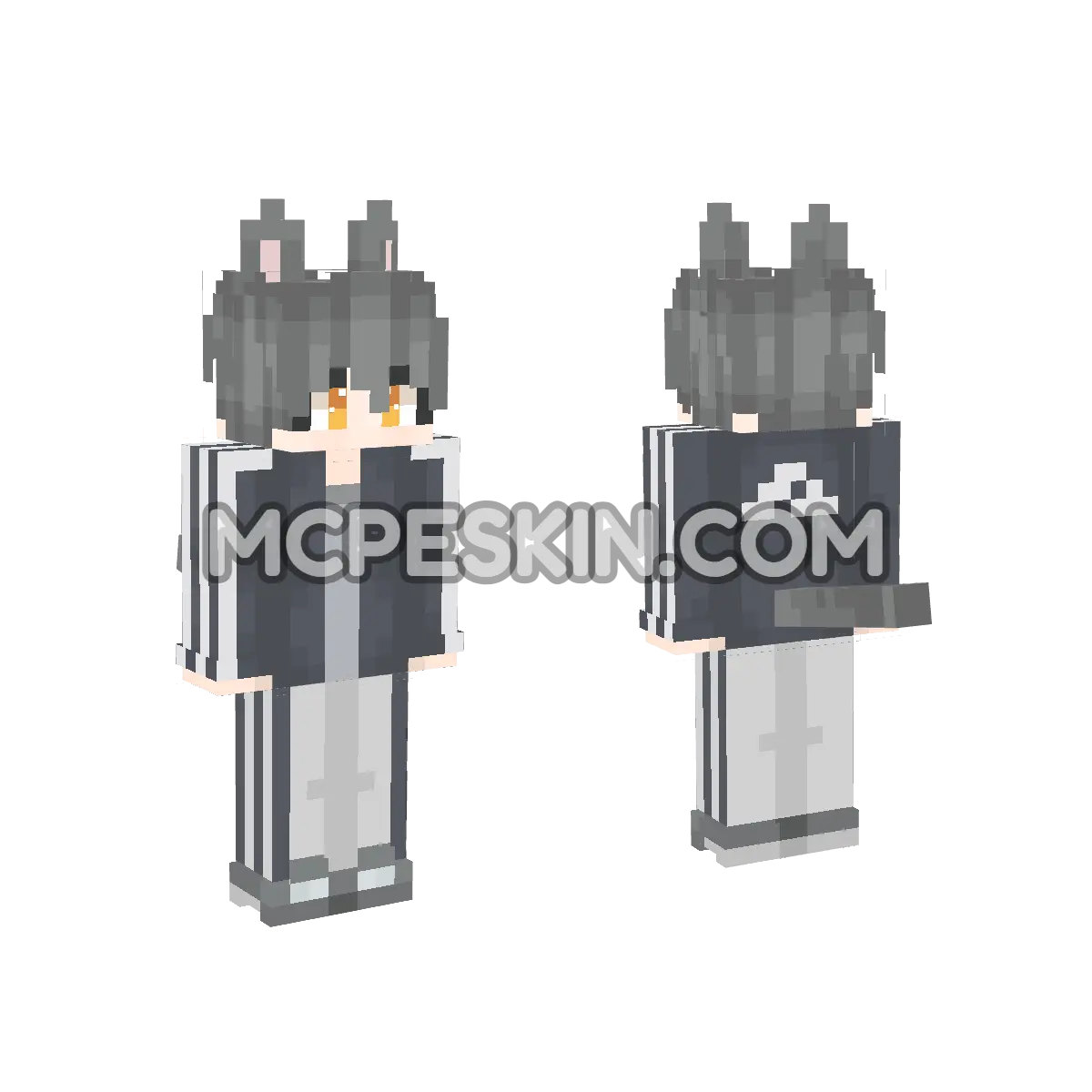 Cat M 2 4D Minecraft Bedrock skin
