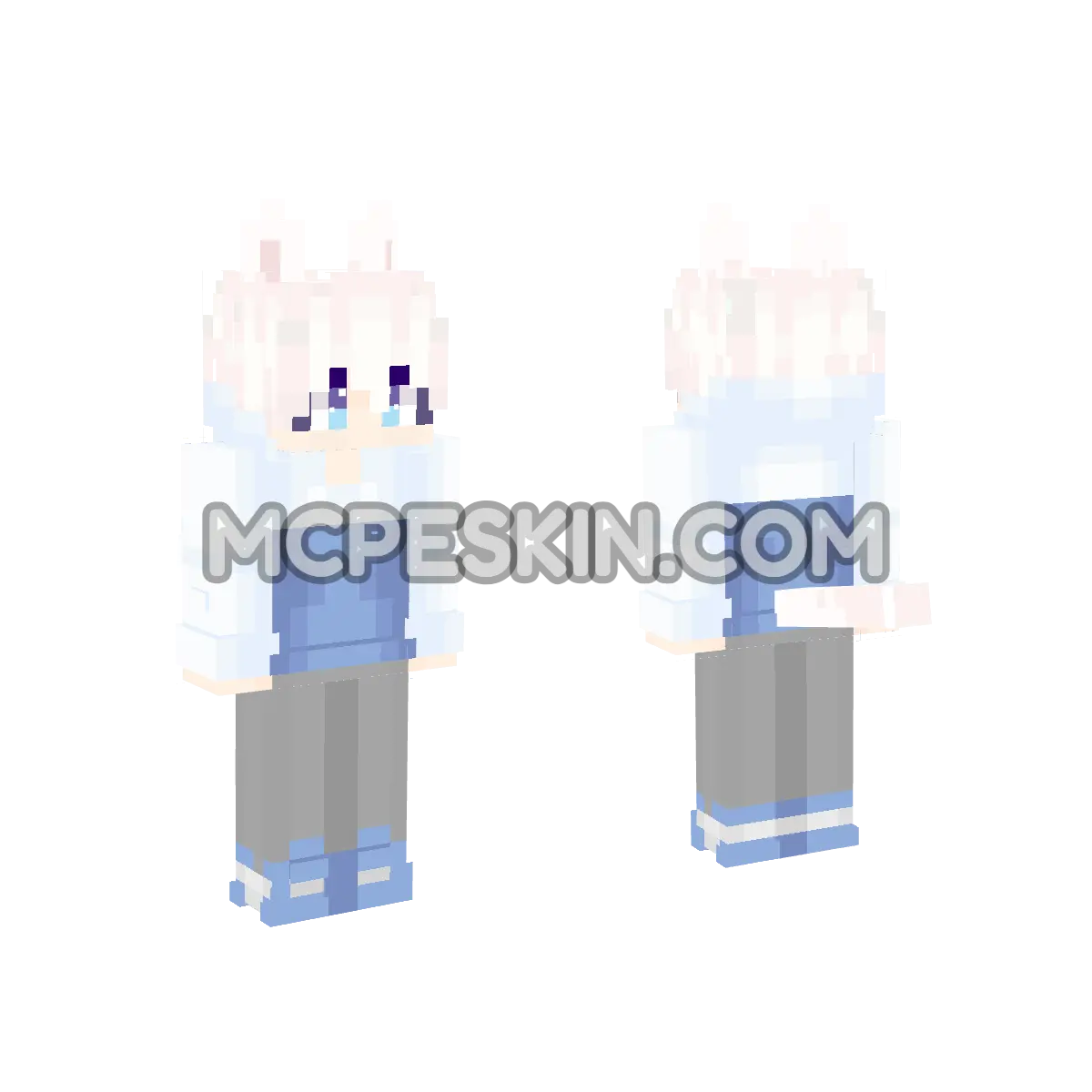 Cat M 28 4D Minecraft Bedrock skin