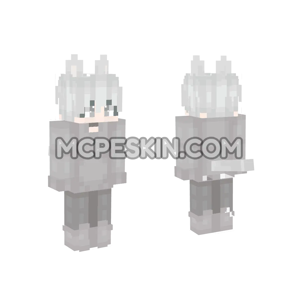 Cat M 8 4D Minecraft Bedrock skin