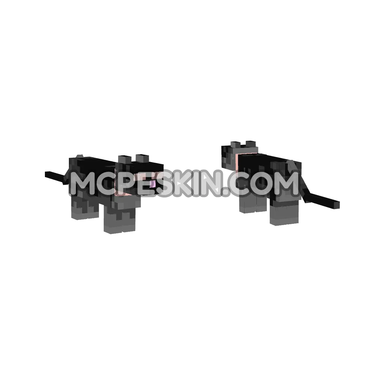 Catys Black Cat 4D Minecraft Bedrock skin