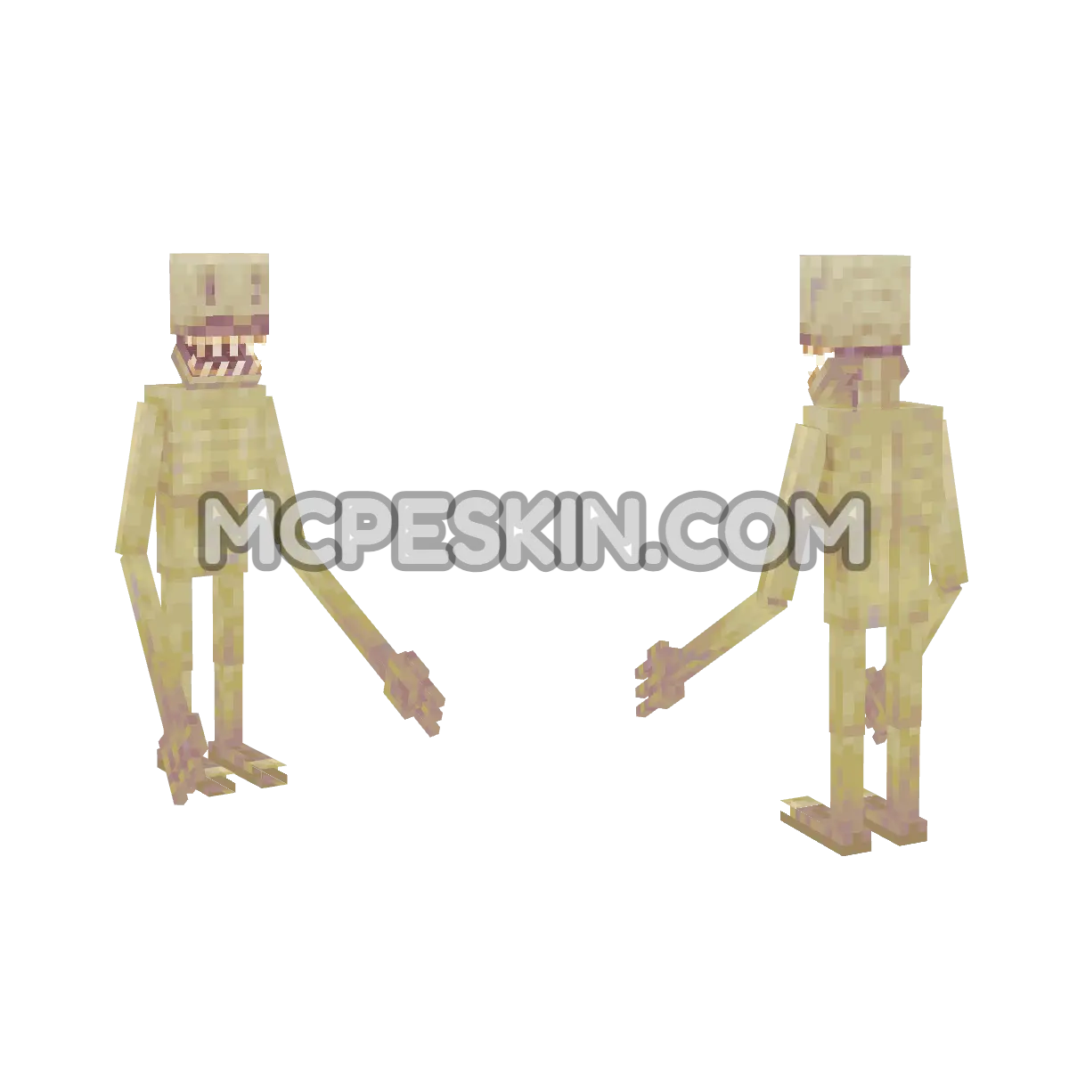 cd 4D Minecraft Bedrock skin
