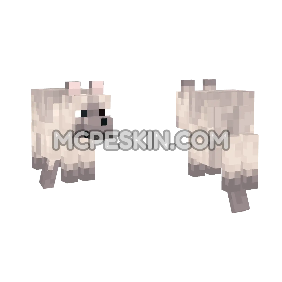 chestnut 4D Minecraft Bedrock skin