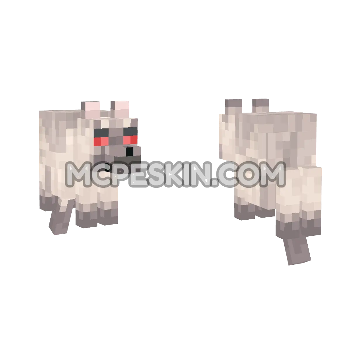 chestnut_angry 4D Minecraft Bedrock skin