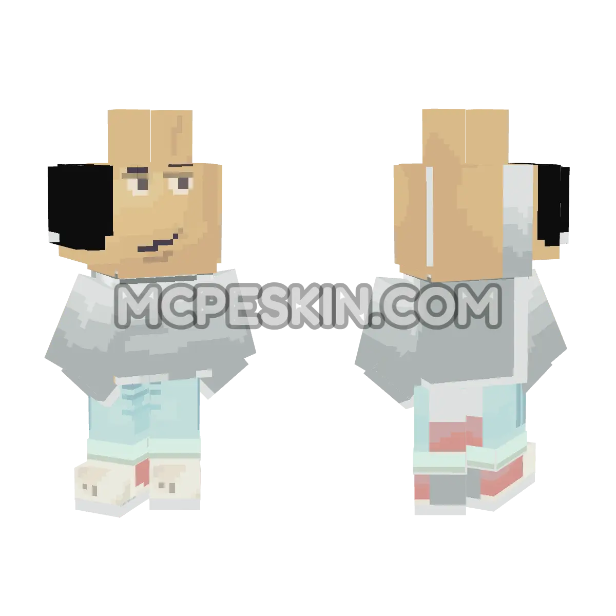 chill 4D Minecraft Bedrock skin