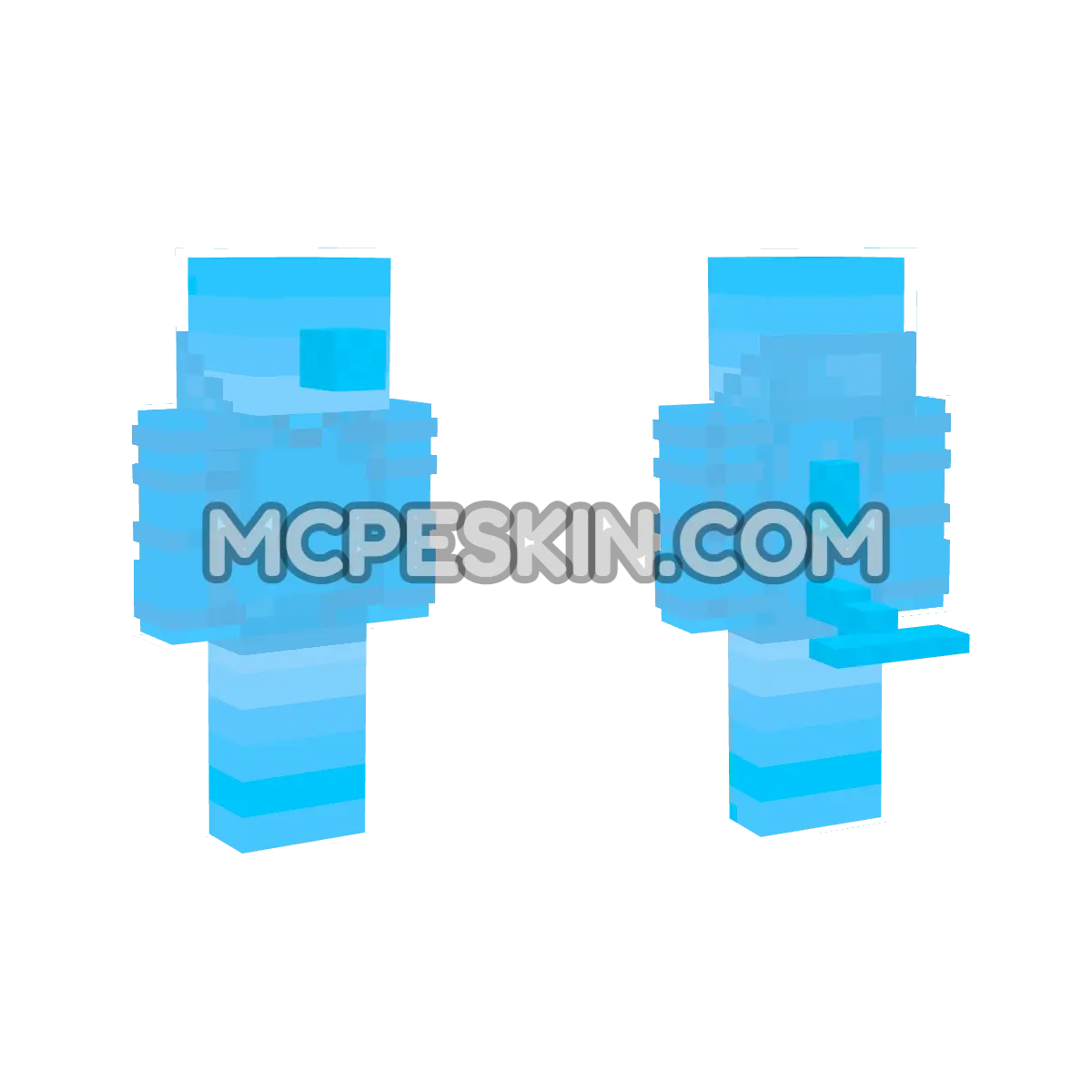 Dolphin 12 4D Minecraft Bedrock skin