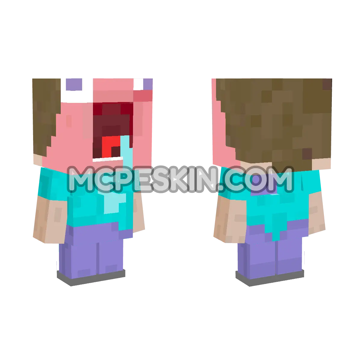 down 4D Minecraft Bedrock skin