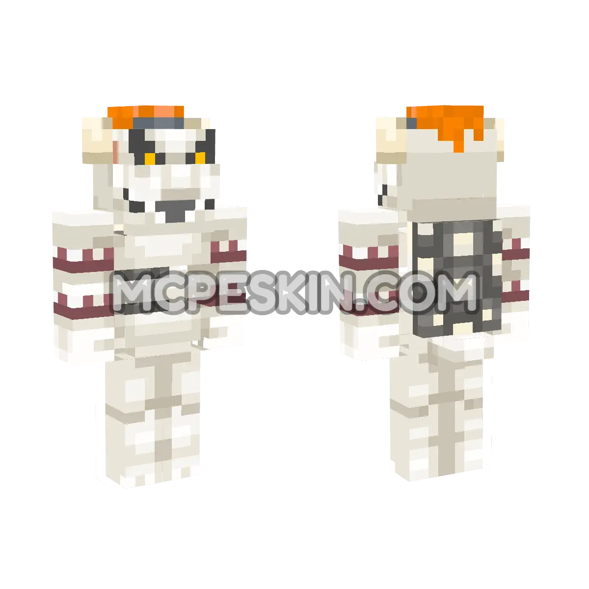 Dry Bowser 4D Minecraft Bedrock skin