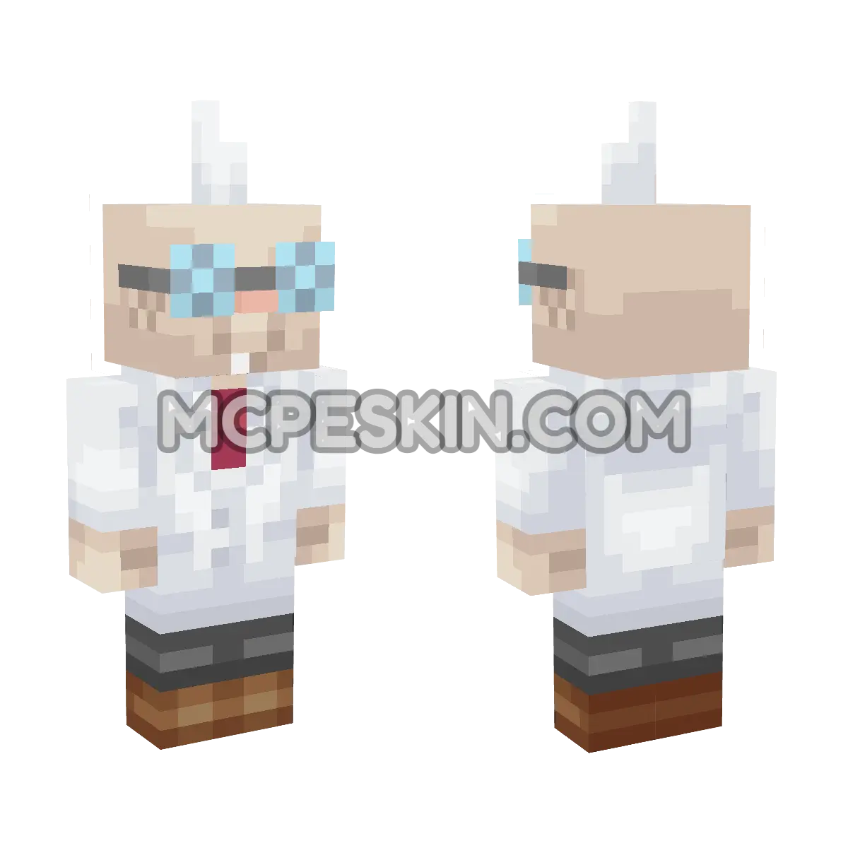 E. Gadd 4D Minecraft Bedrock skin