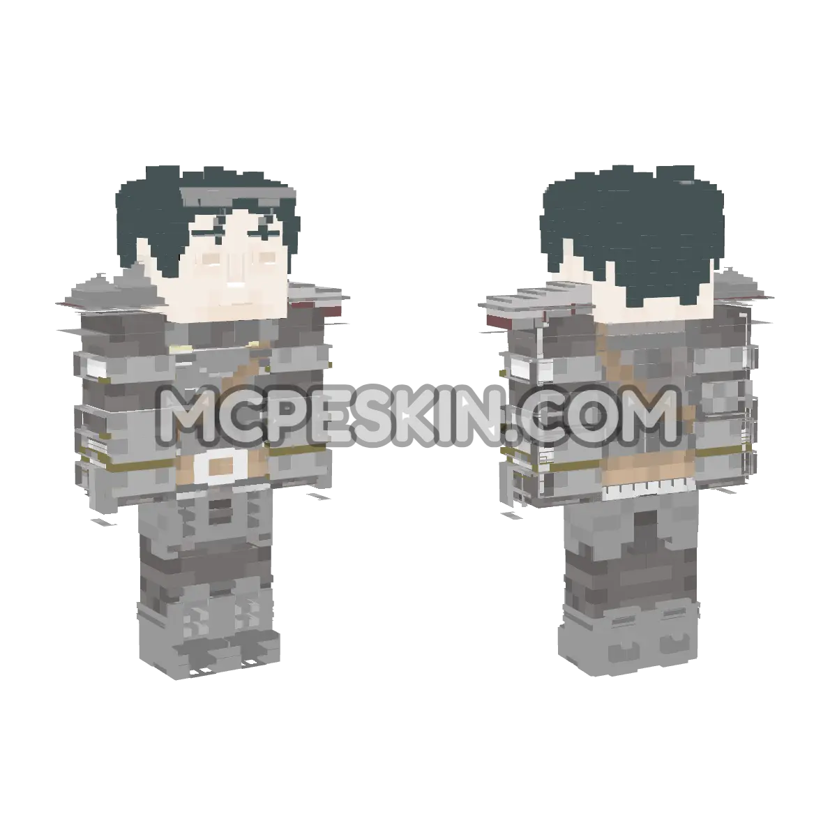 El Heroe de Oakvale By Salfontius 4D Minecraft Bedrock skin