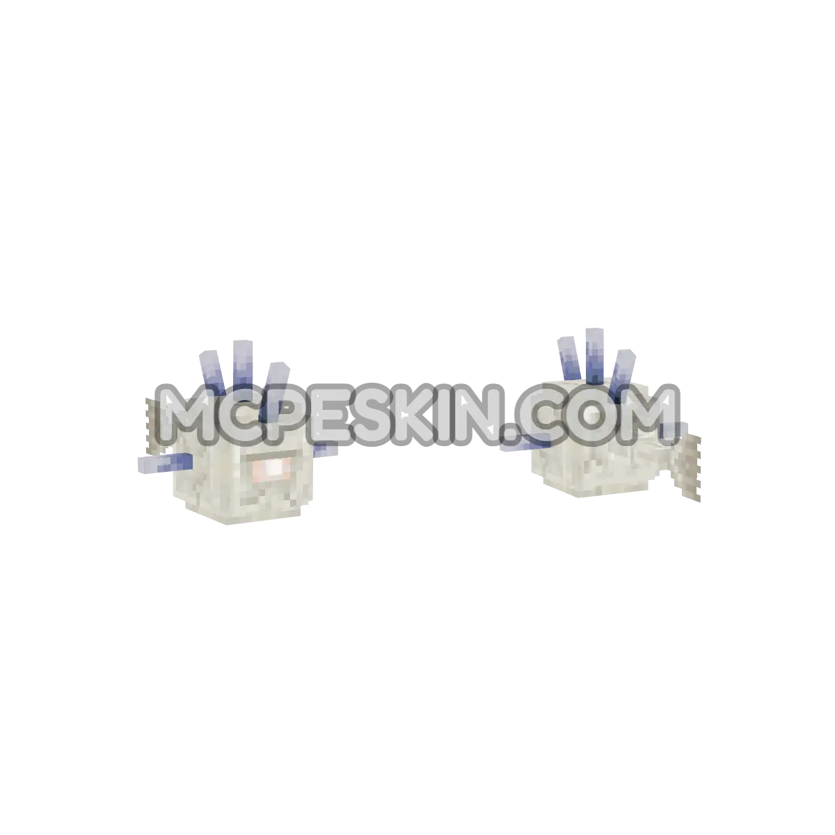 elder 4D Minecraft Bedrock skin