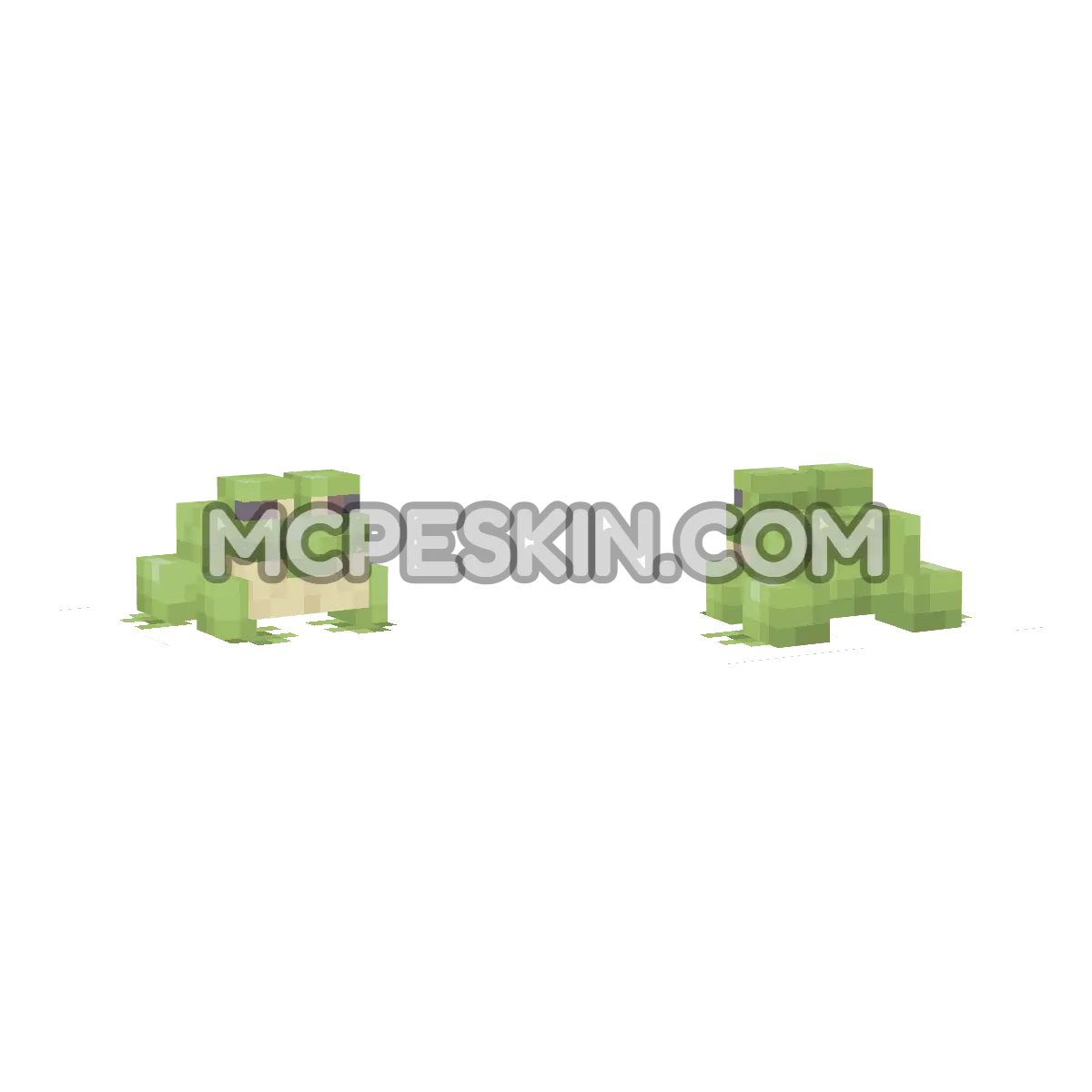 frog 4D Minecraft Bedrock skin