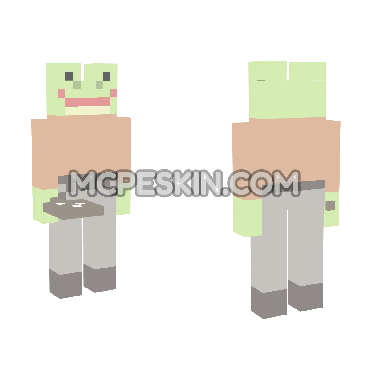 Frog Detective 4D Minecraft Bedrock skin