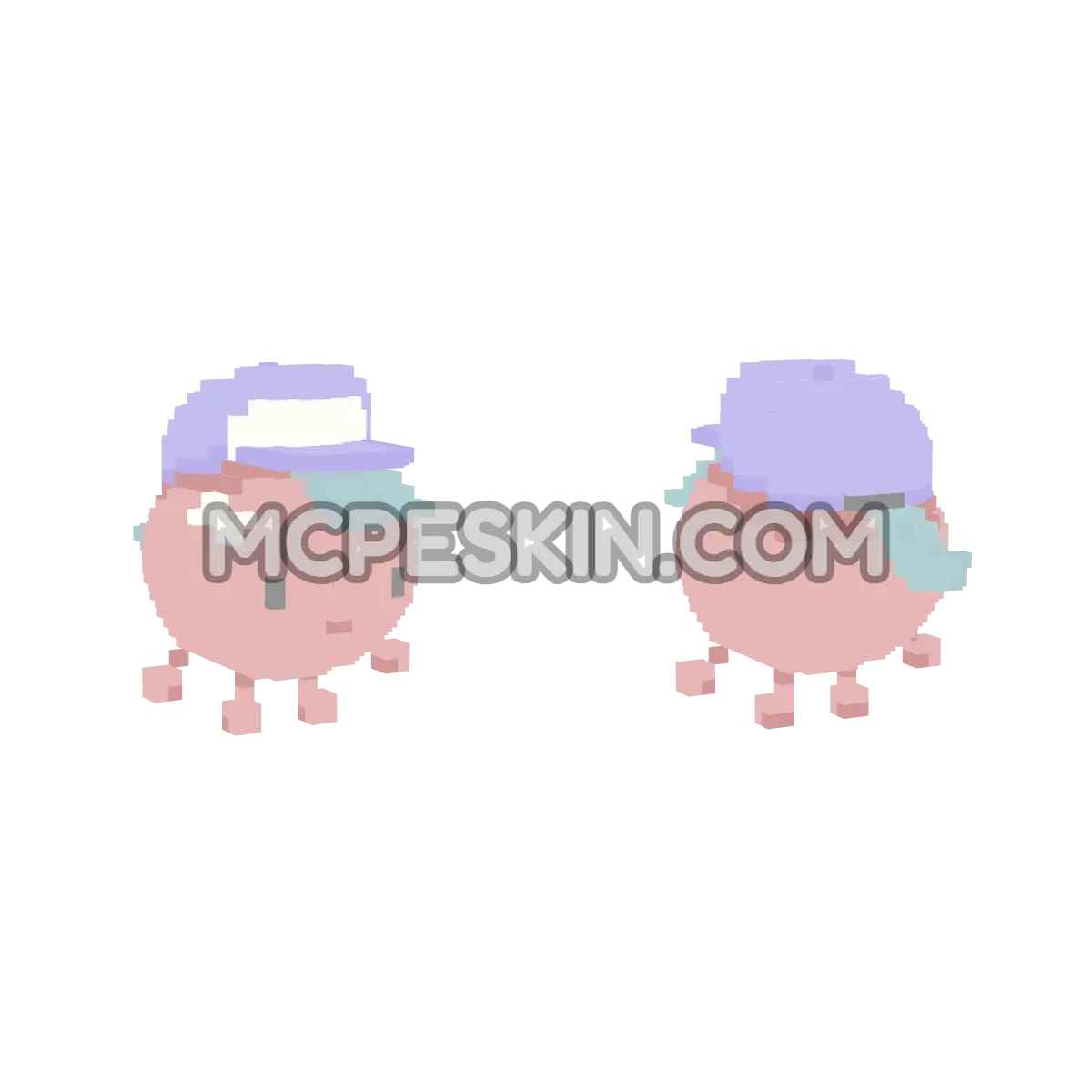 Fuji 4D Minecraft Bedrock skin