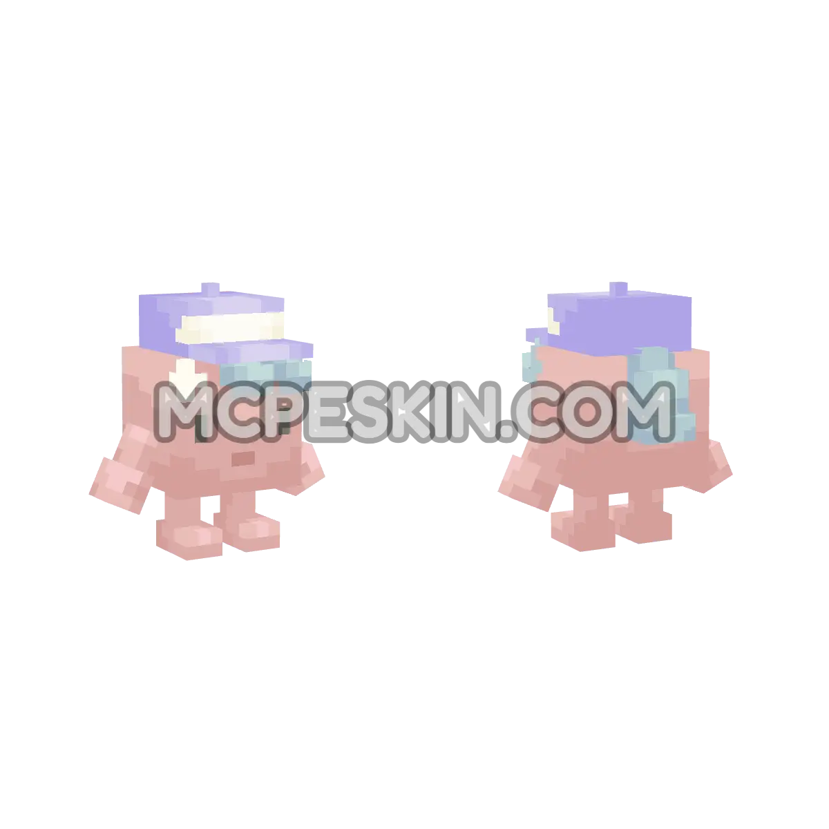 Fuji 4D Minecraft Bedrock skin