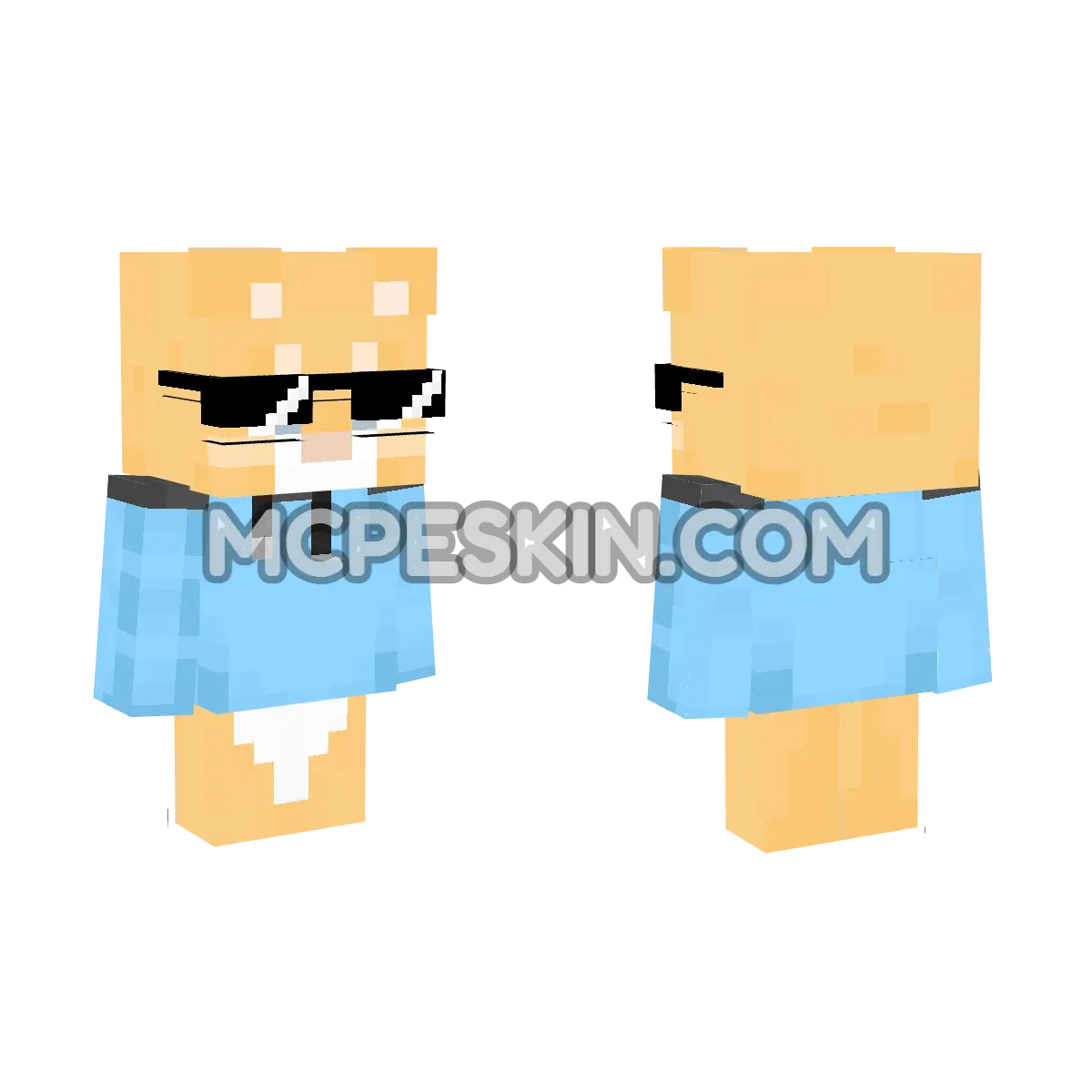 gatomc 4D Minecraft Bedrock skin