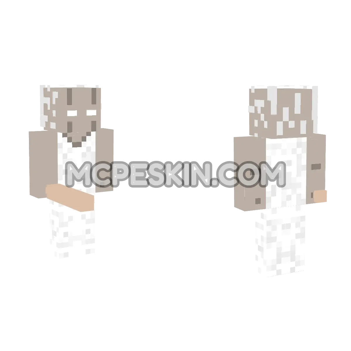 Granny 4D Minecraft Bedrock skin