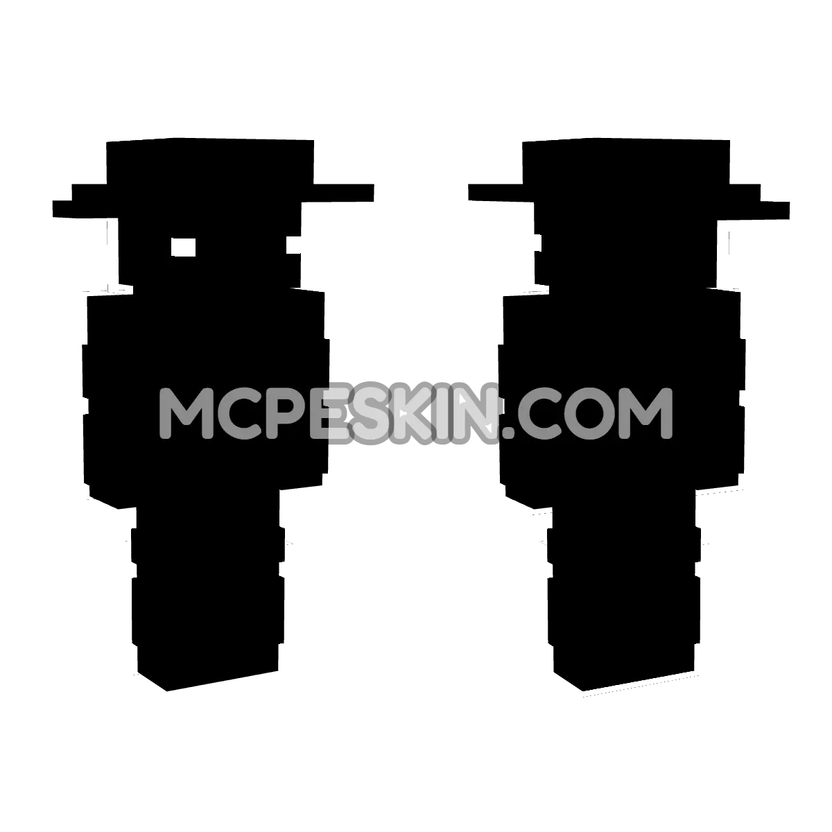 hat5 4D Minecraft Bedrock skin