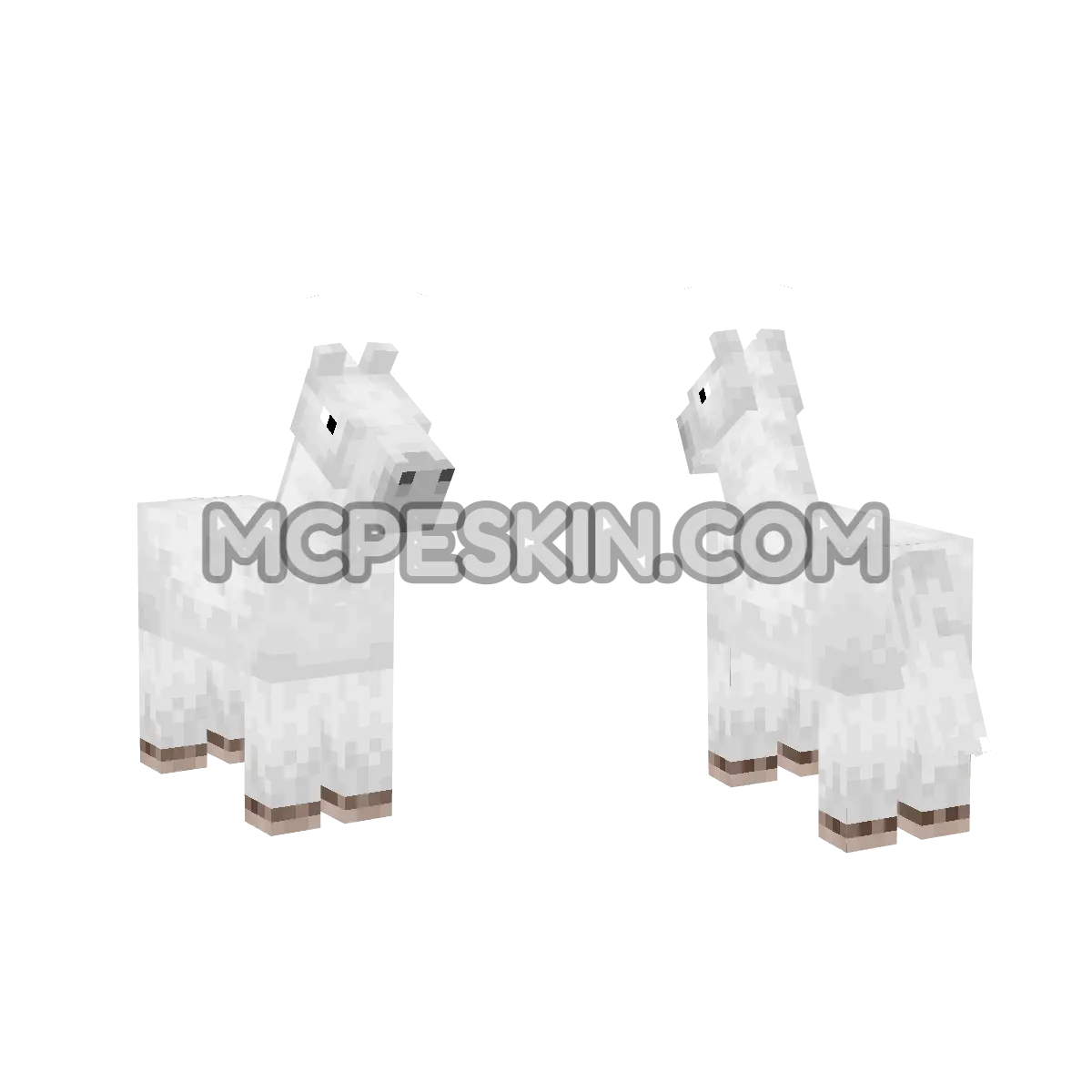 horse 4D Minecraft Bedrock skin
