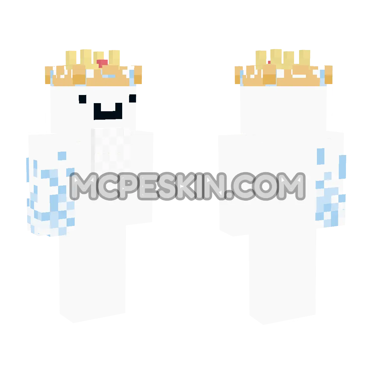 Ice King 16 4D Minecraft Bedrock skin
