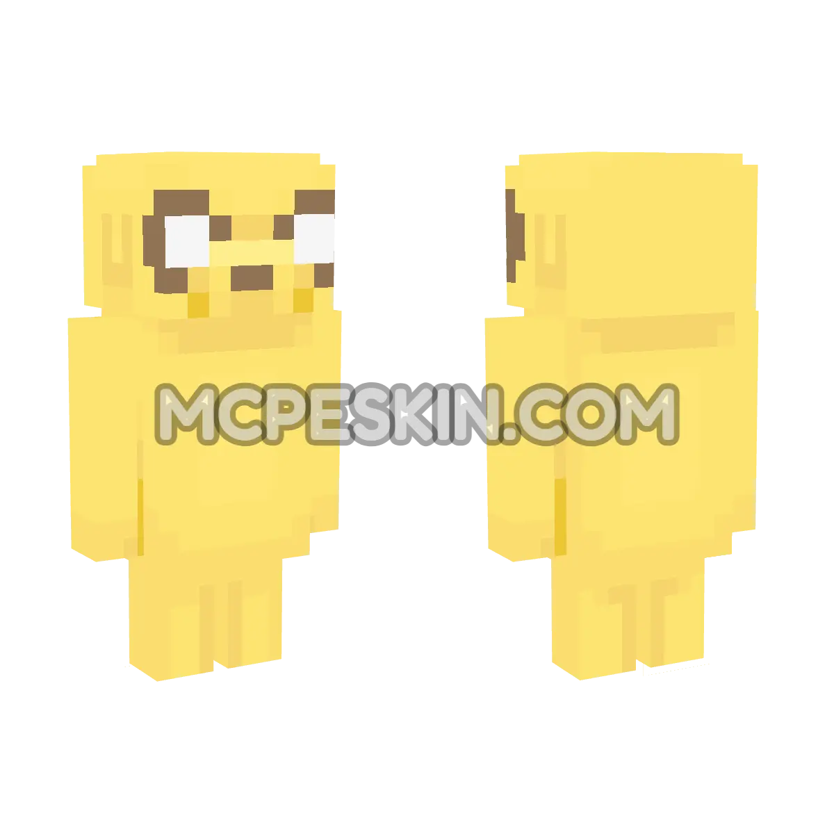 Jake 4D Minecraft Bedrock skin