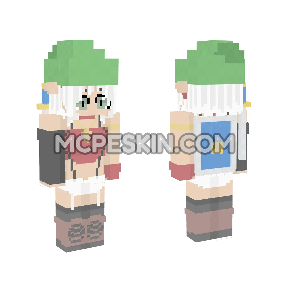 Link 6 4D Minecraft Bedrock skin