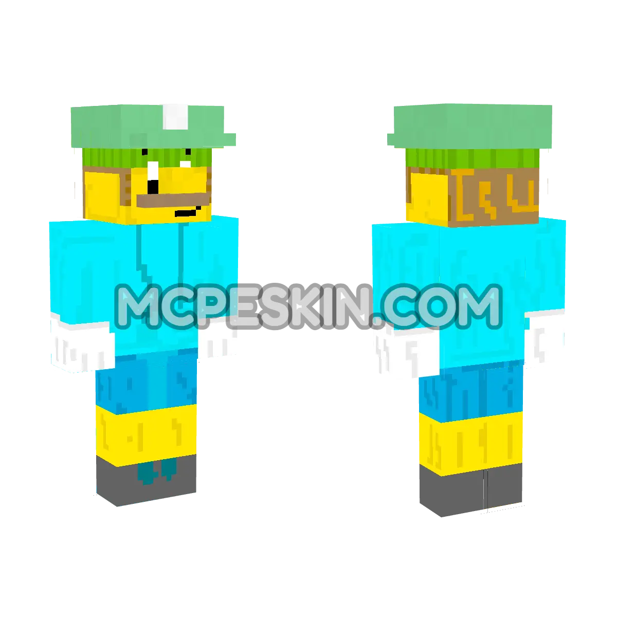 Luigi 19 4D Minecraft Bedrock skin