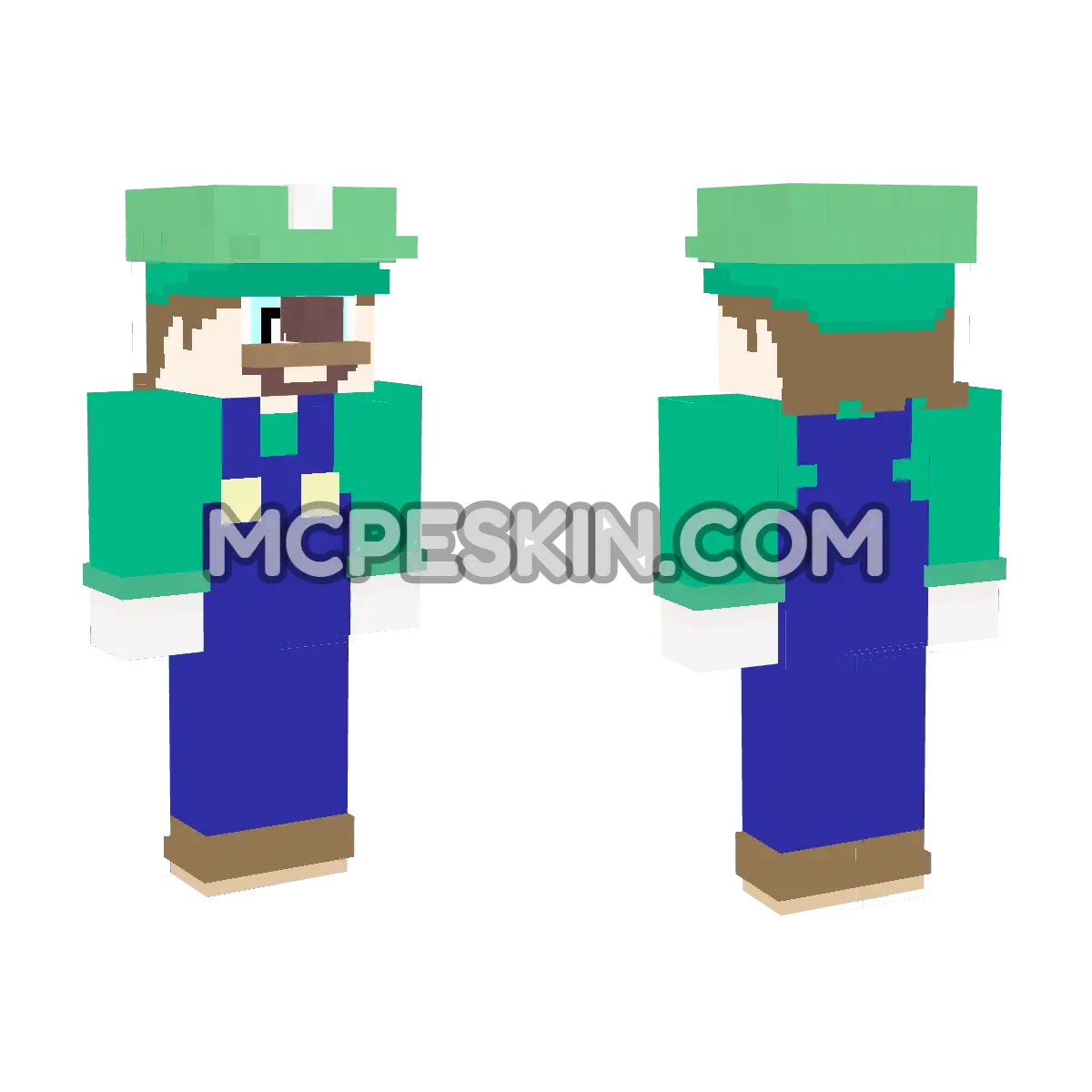 Luigi 22 4D Minecraft Bedrock skin