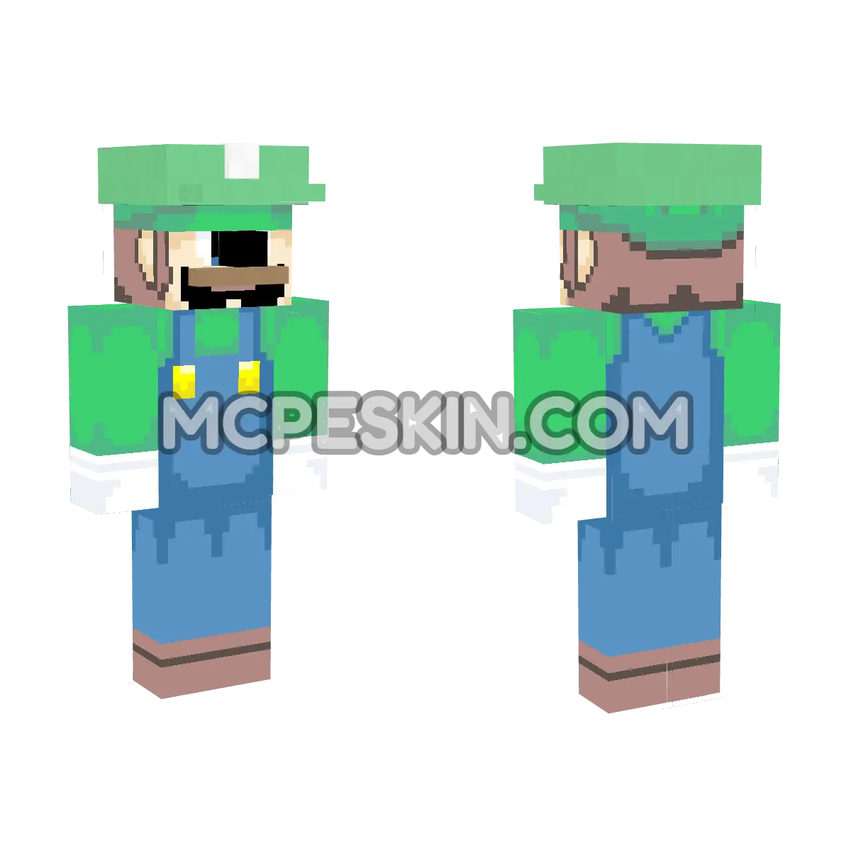 Luigi 6 4D Minecraft Bedrock skin