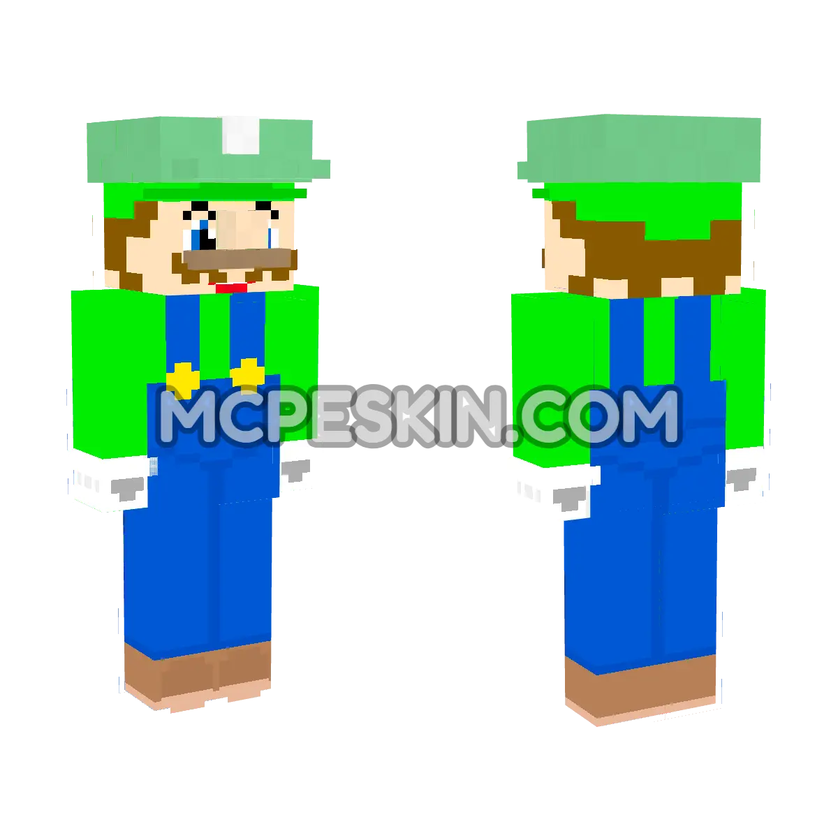 Luigi 9 4D Minecraft Bedrock skin