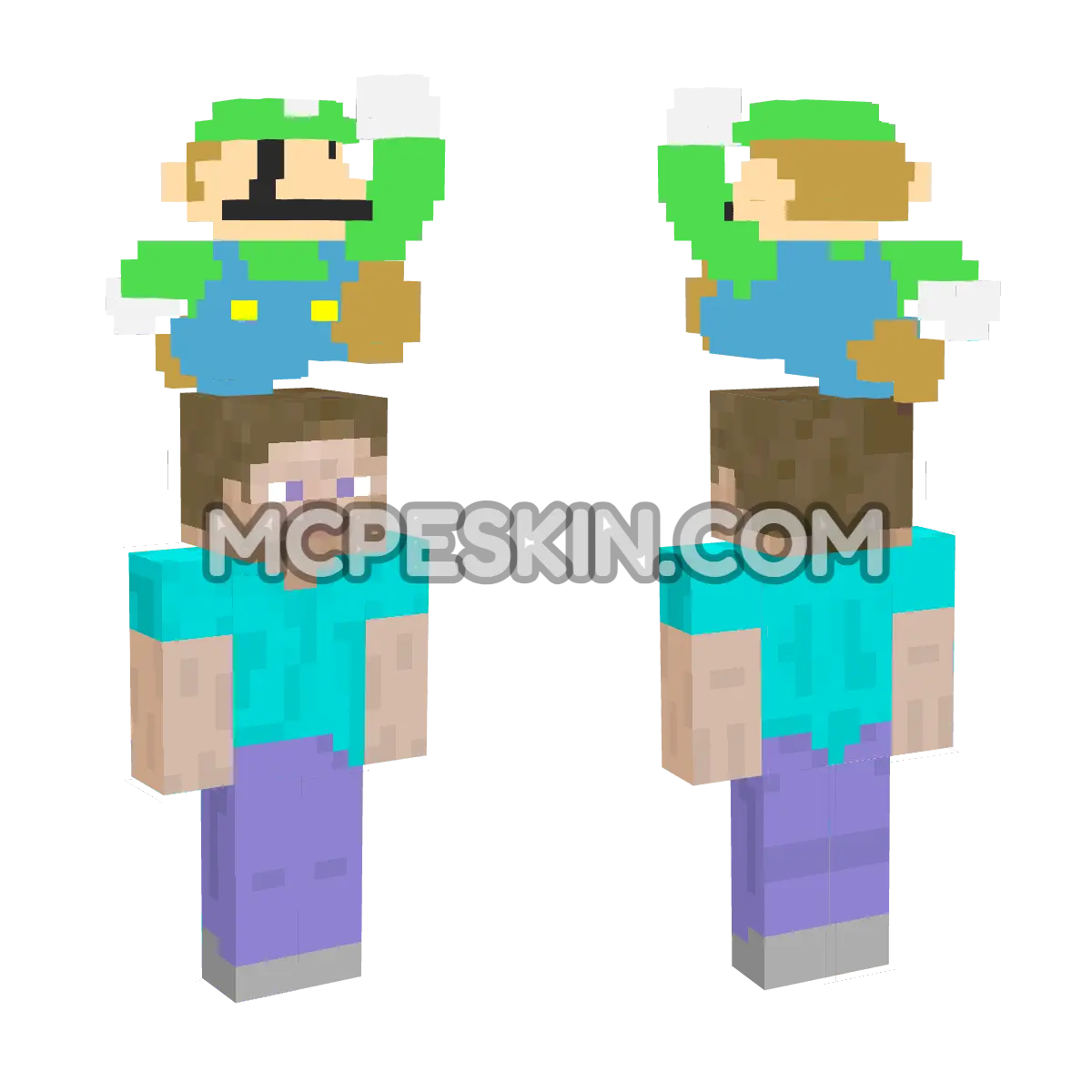 Luigi 4D Minecraft Bedrock skin