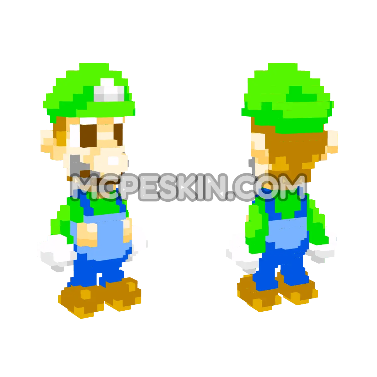 Luigi (MLSS) 4D Minecraft Bedrock skin