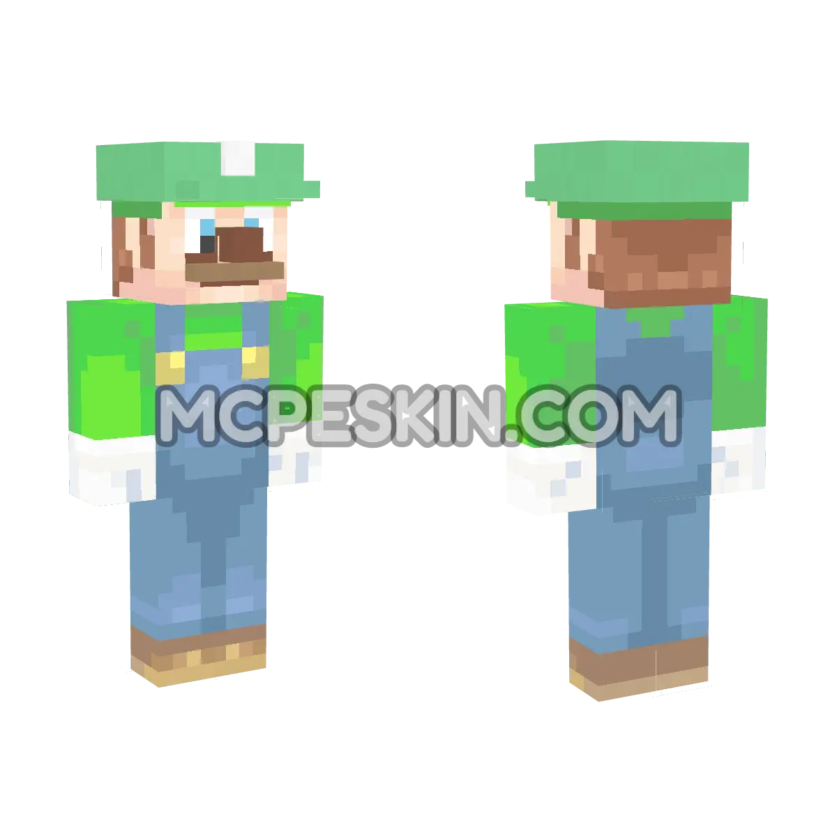 Luigi Super 2 4D Minecraft Bedrock skin