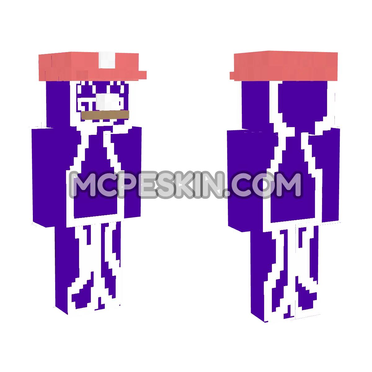 Mario 14 4D Minecraft Bedrock skin